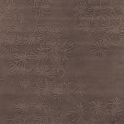 亚洲地毯 Asia rug